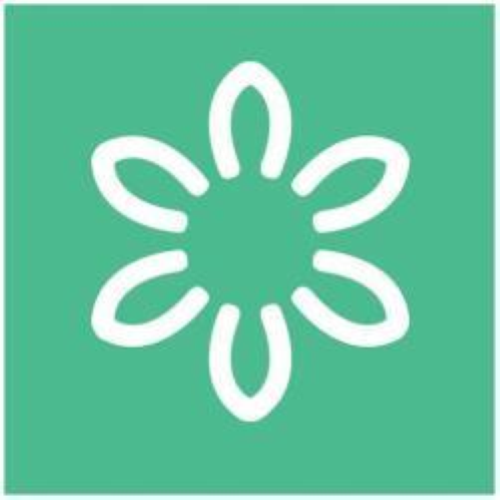 CWR FUSTELLA 25 mm MARGHERITA